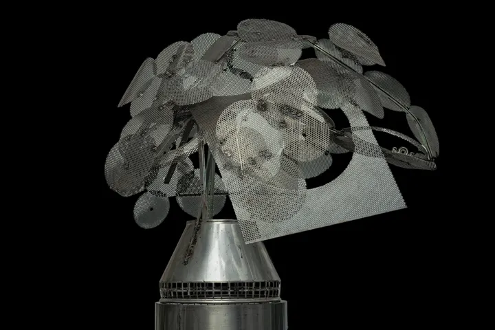 Baum