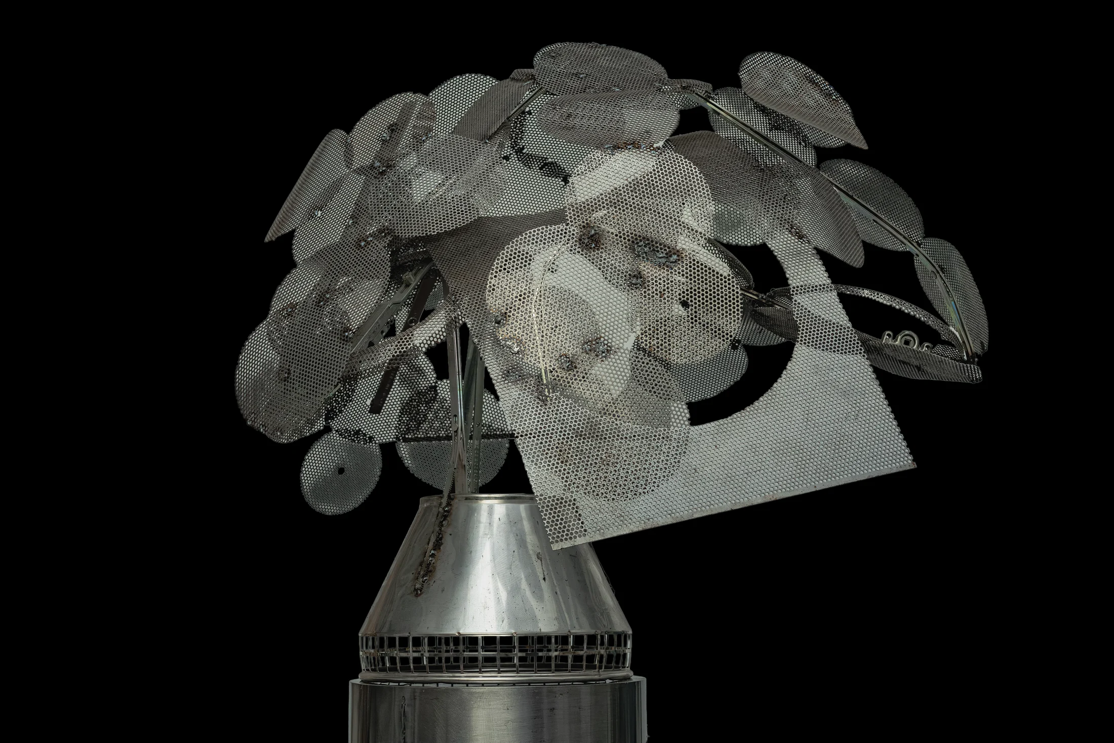 Baum